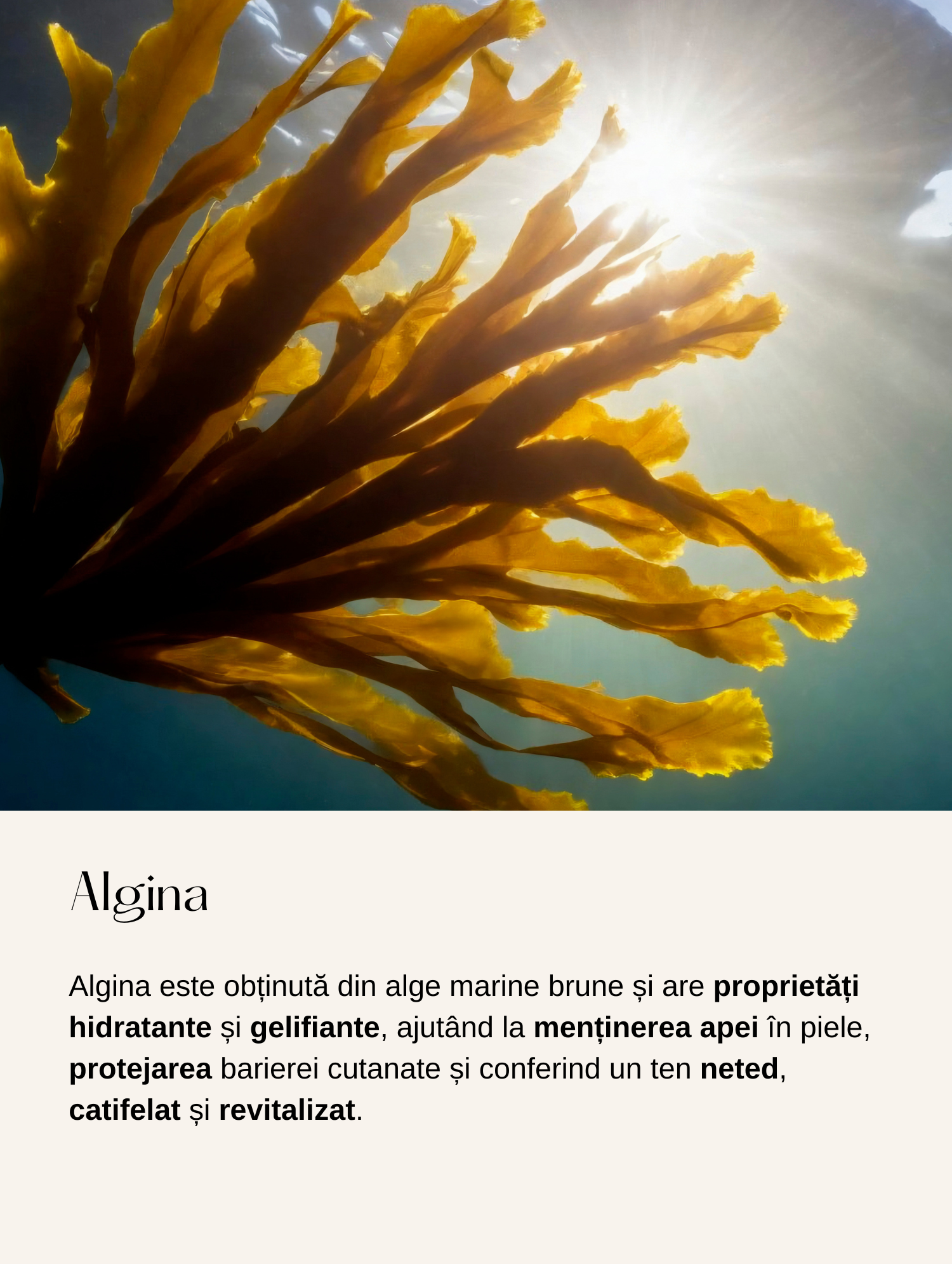 Gel Hidratant cu Niacinamidă