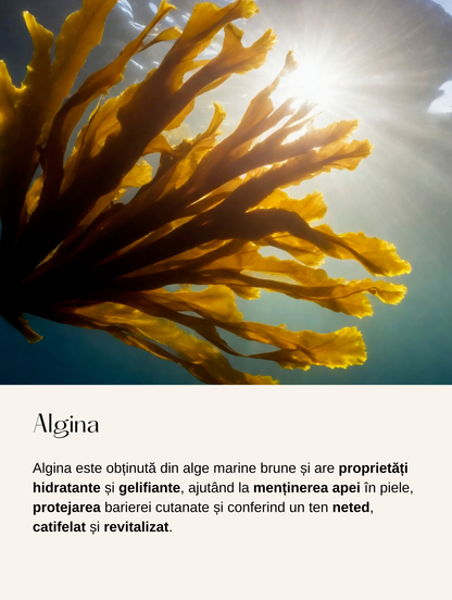 Gel Hidratant cu Niacinamidă