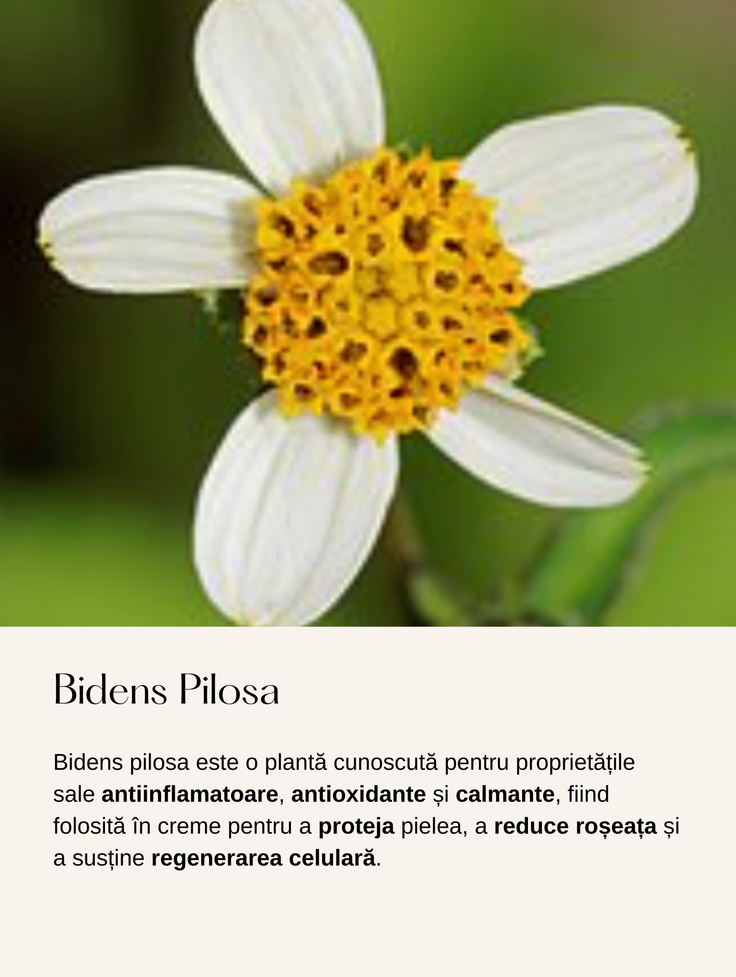 Ser pentru Ochi Alternativ la Retinol cu Extract de Bidens Pilosa