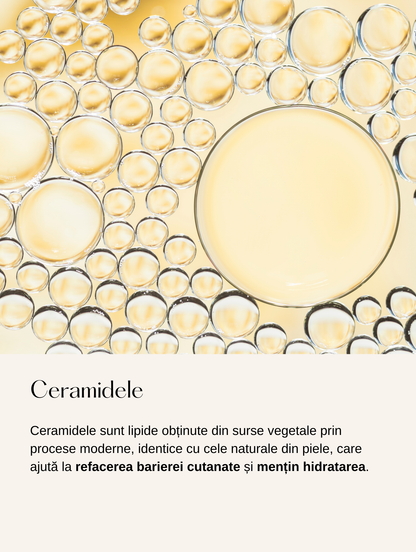 Cremă de Noapte cu Barieră de Ceramide Naturale