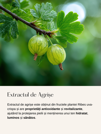 Cremă pentru Îngrijirea Zonelor cu Acnee
