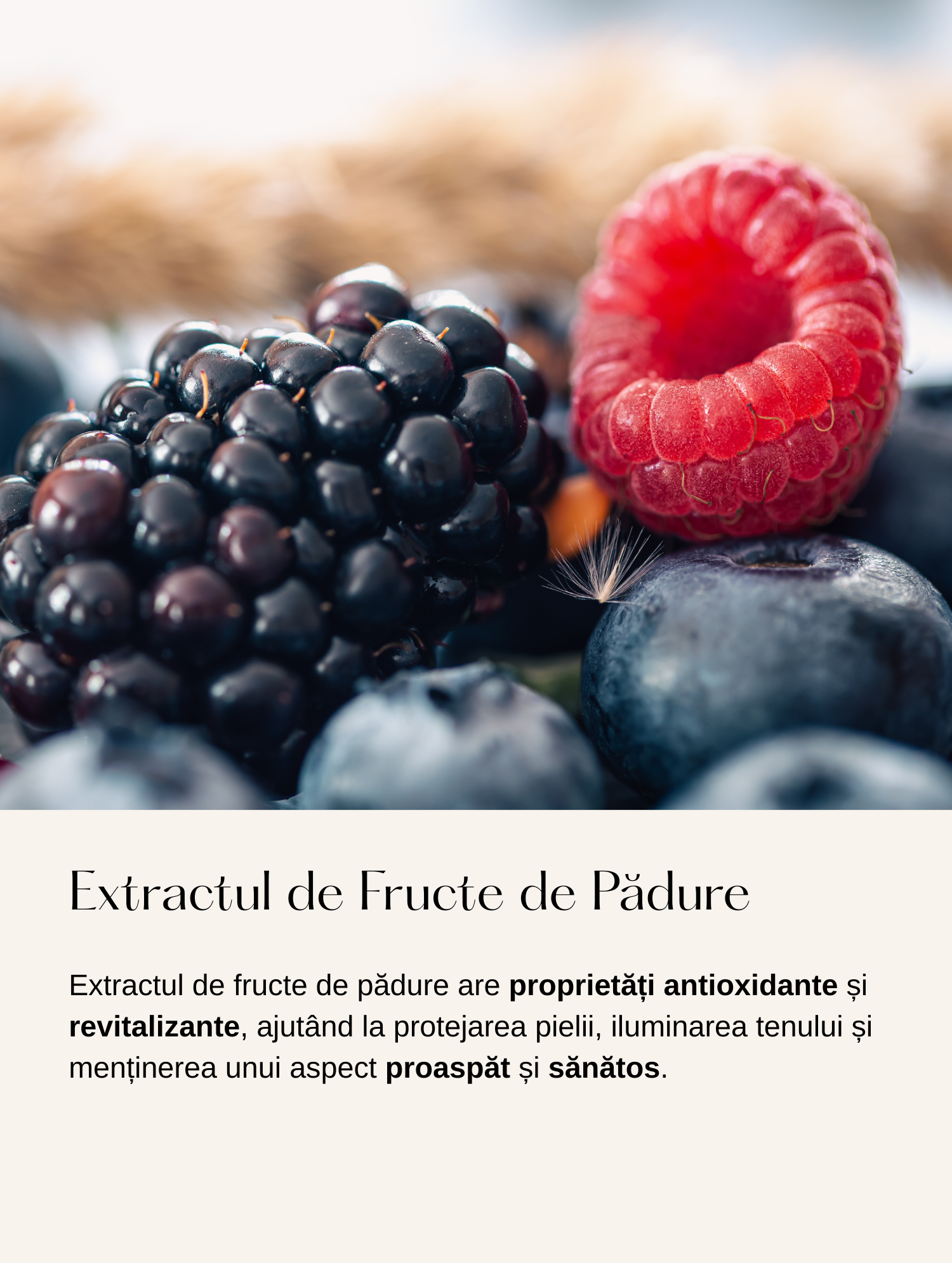 Cremă Hidratantă de Zi cu Extract de Fructe de Padure si Acid Hialuronic