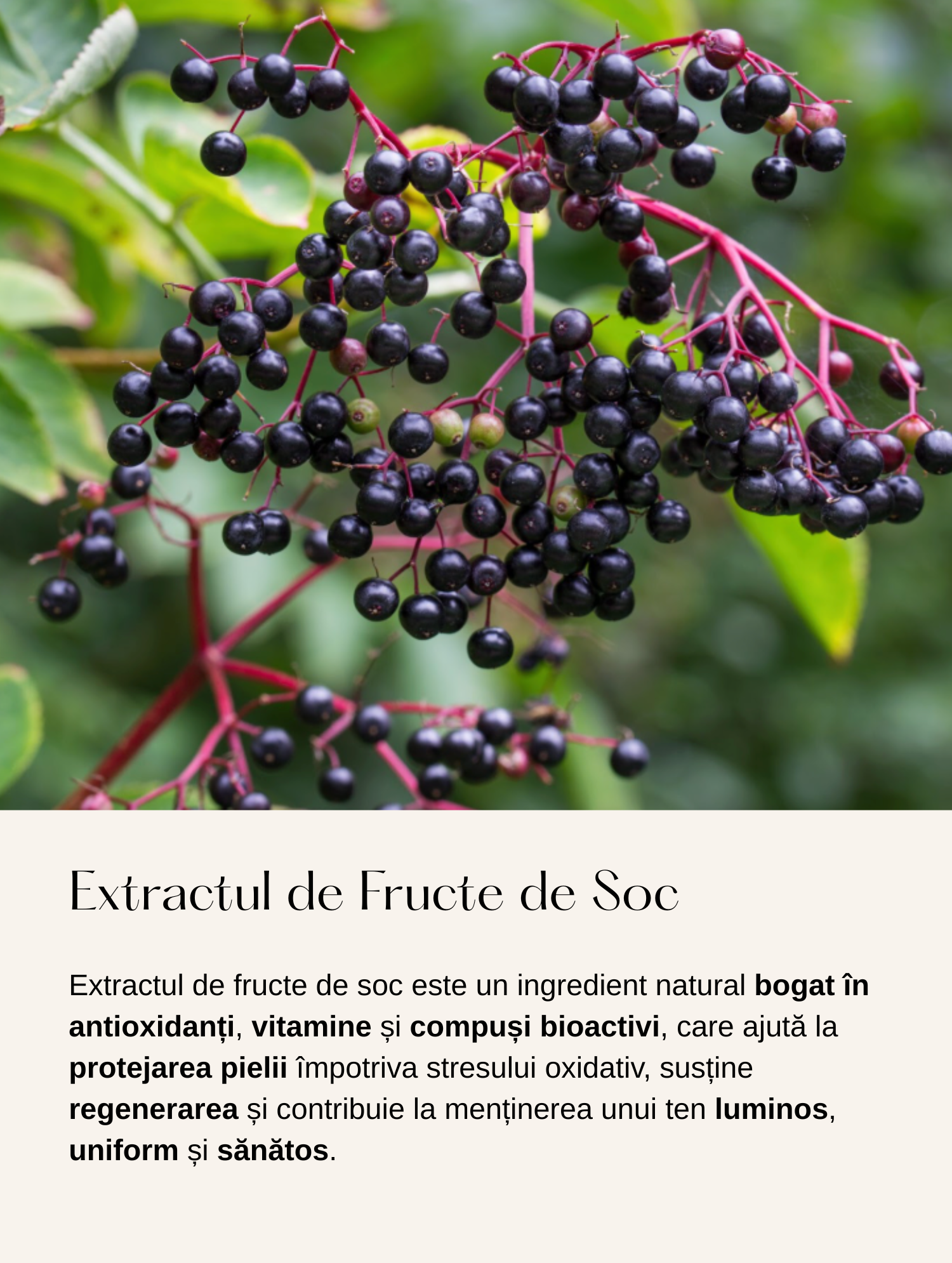 Ser de Stimulare a Colagenului cu Acid Hialuronic
