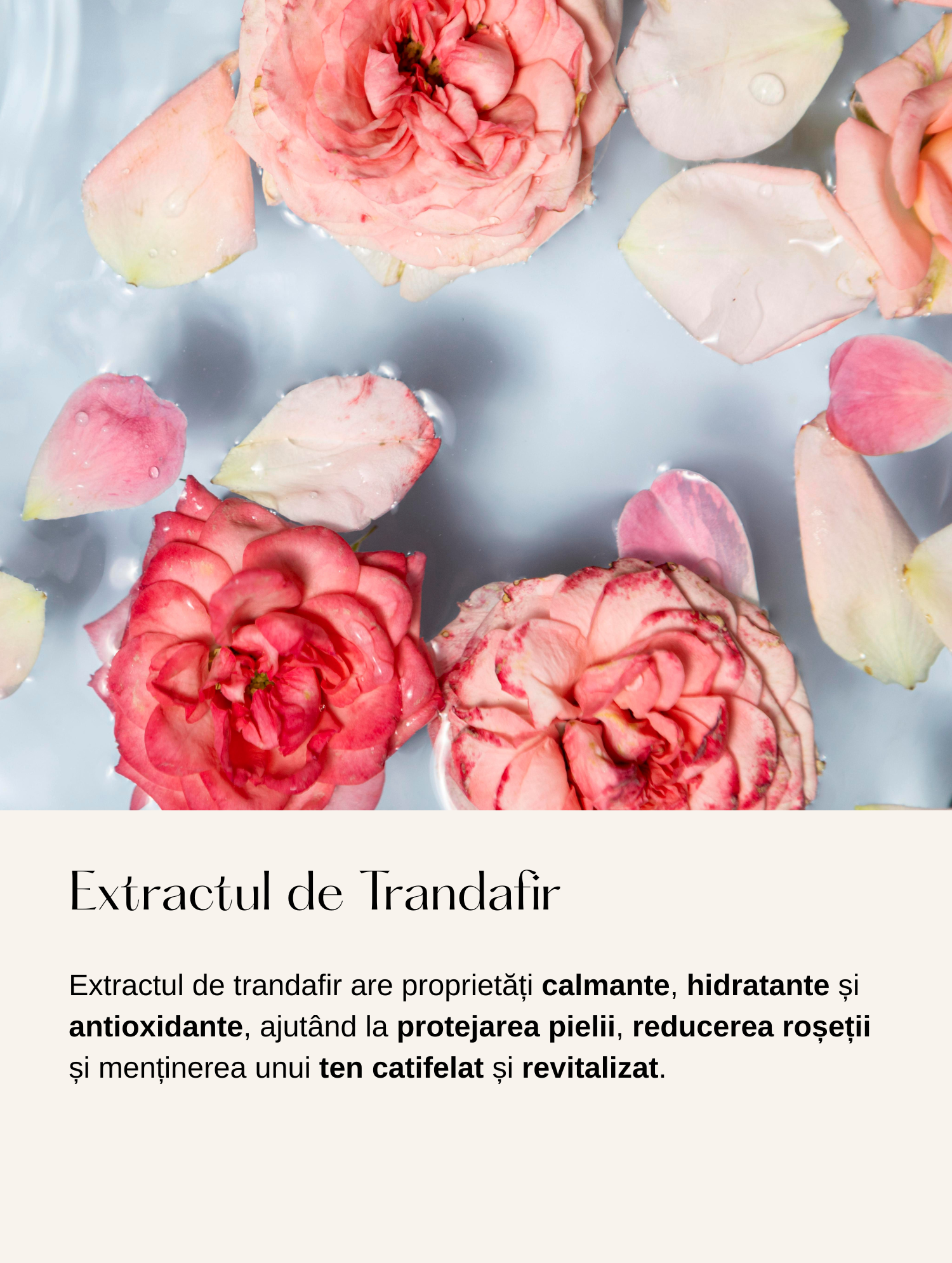 Ser Alternativ la Retinol cu Extract de Bidens Pilosa