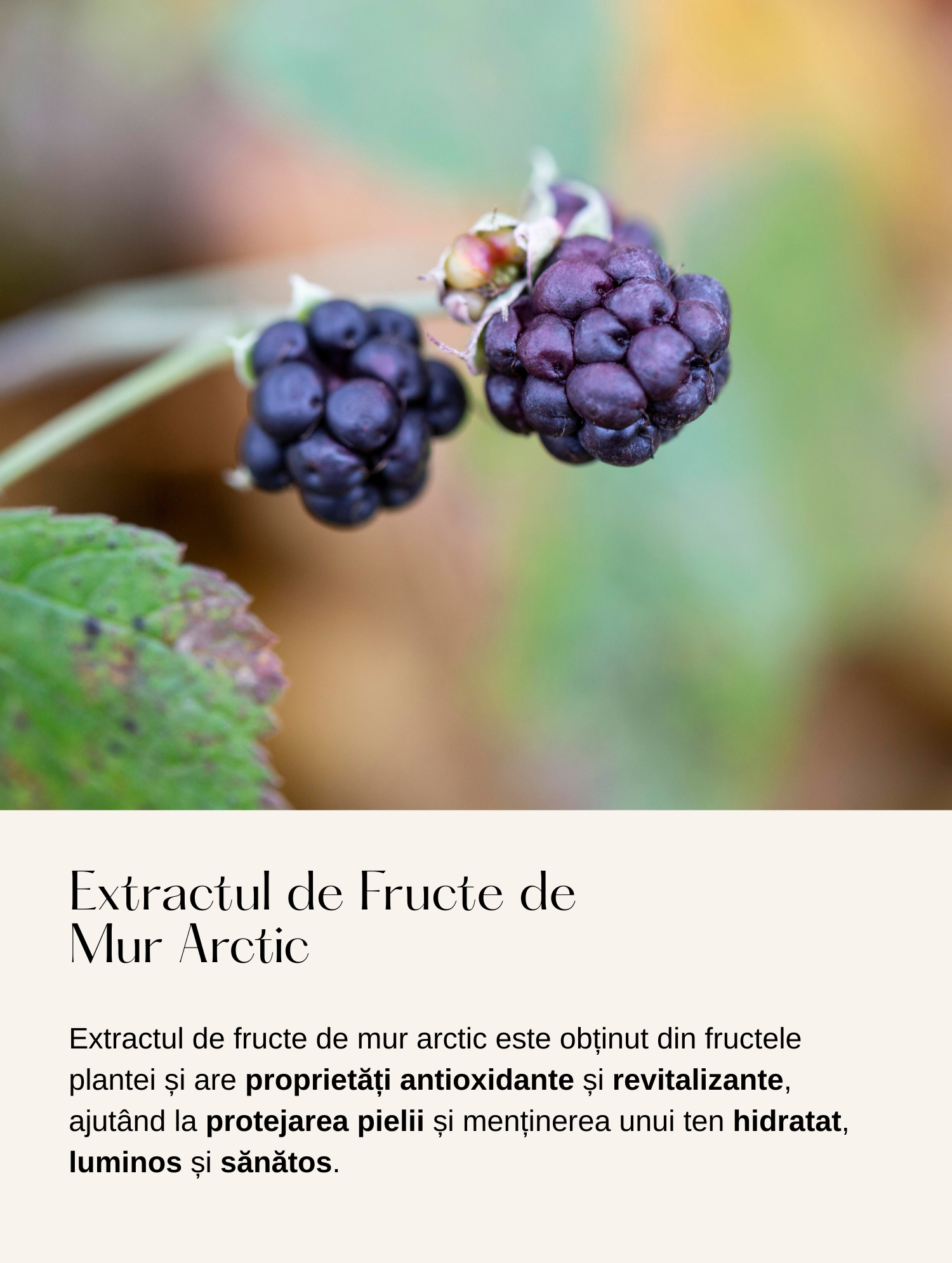 Ser Hidratant cu Extract din Fructe de Mur Arctic și Bujor