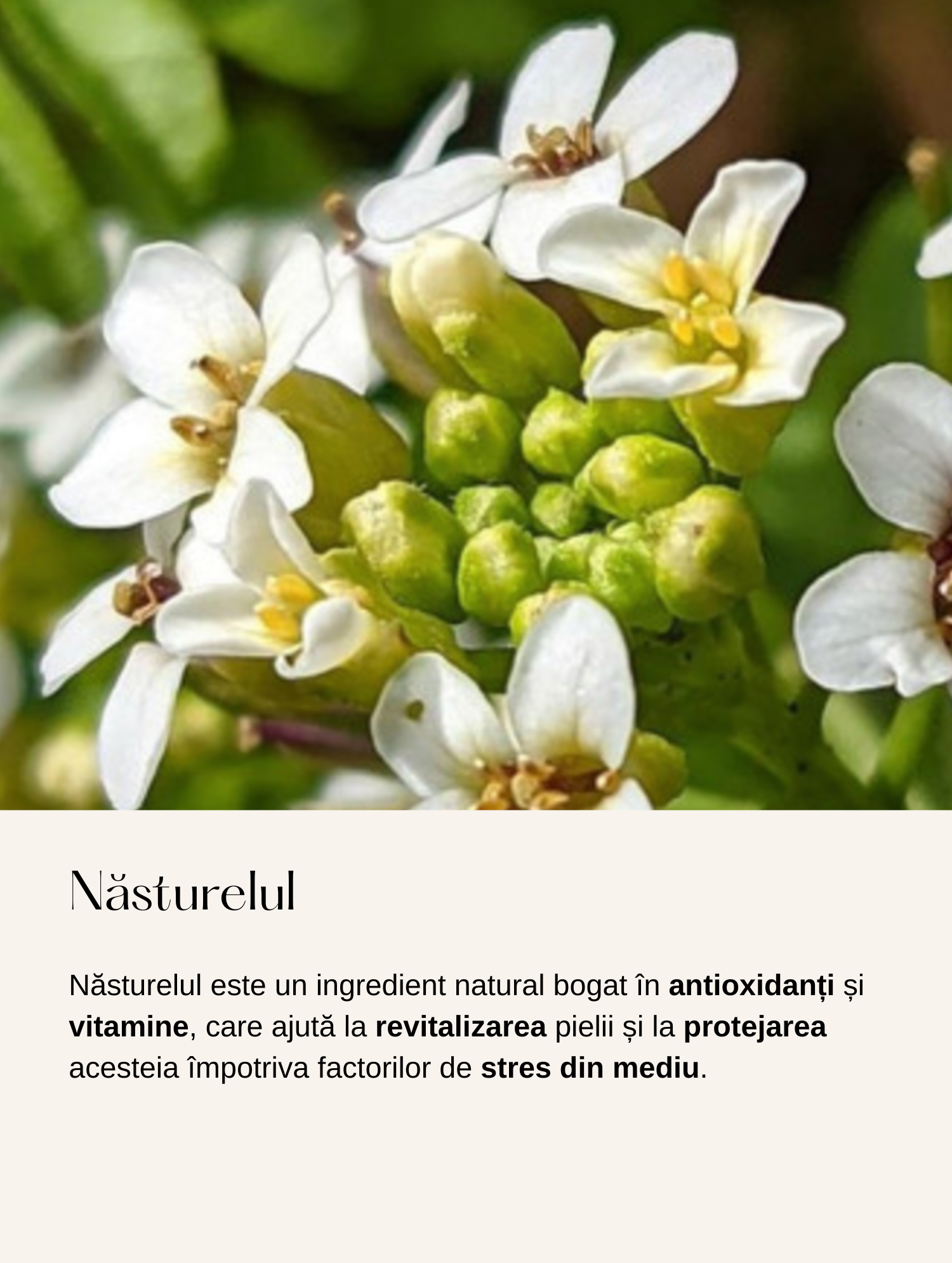Gel Hidratant fără Ulei cu Acid Hialuronic