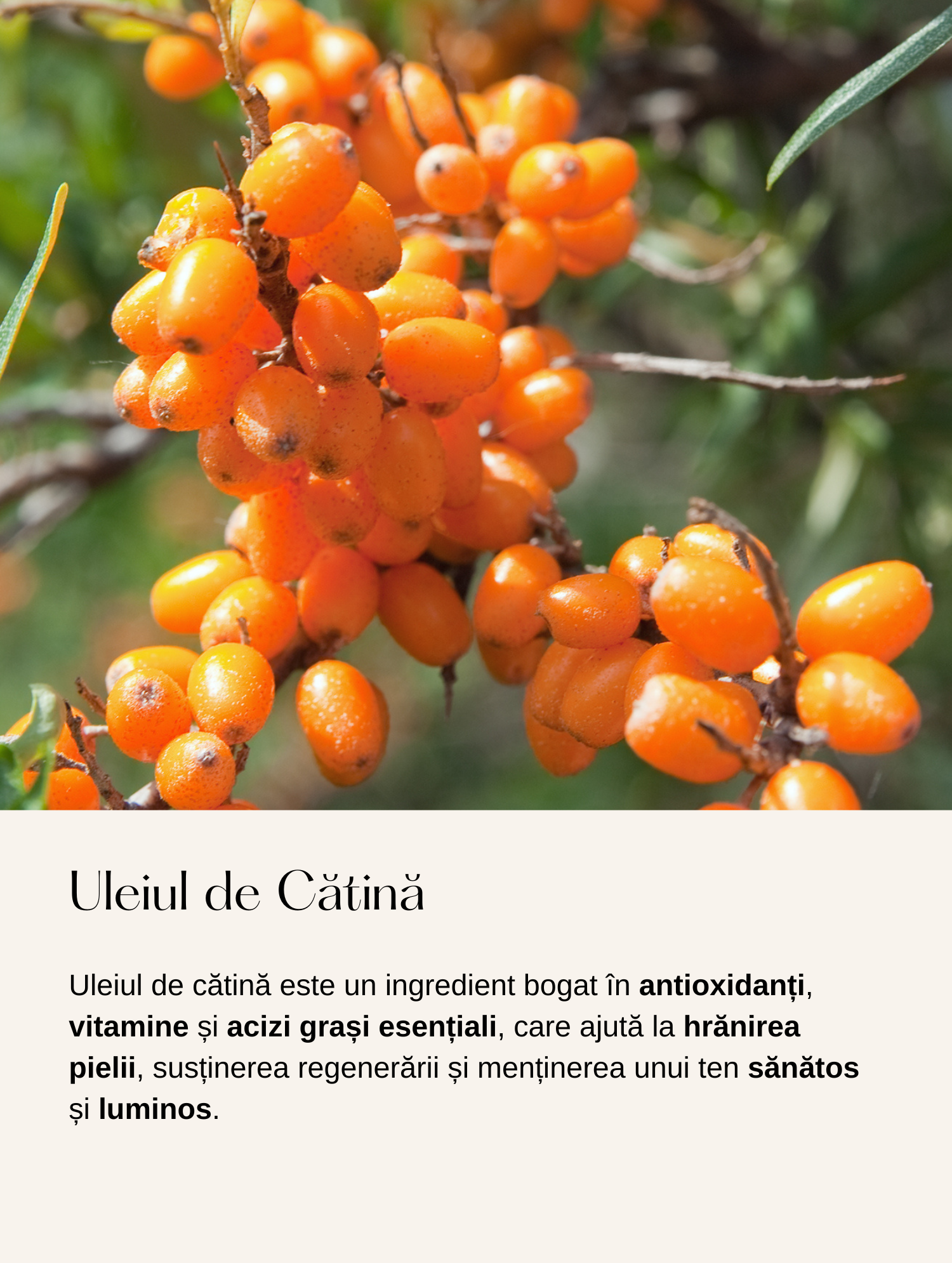 Ser cu Vitamina C